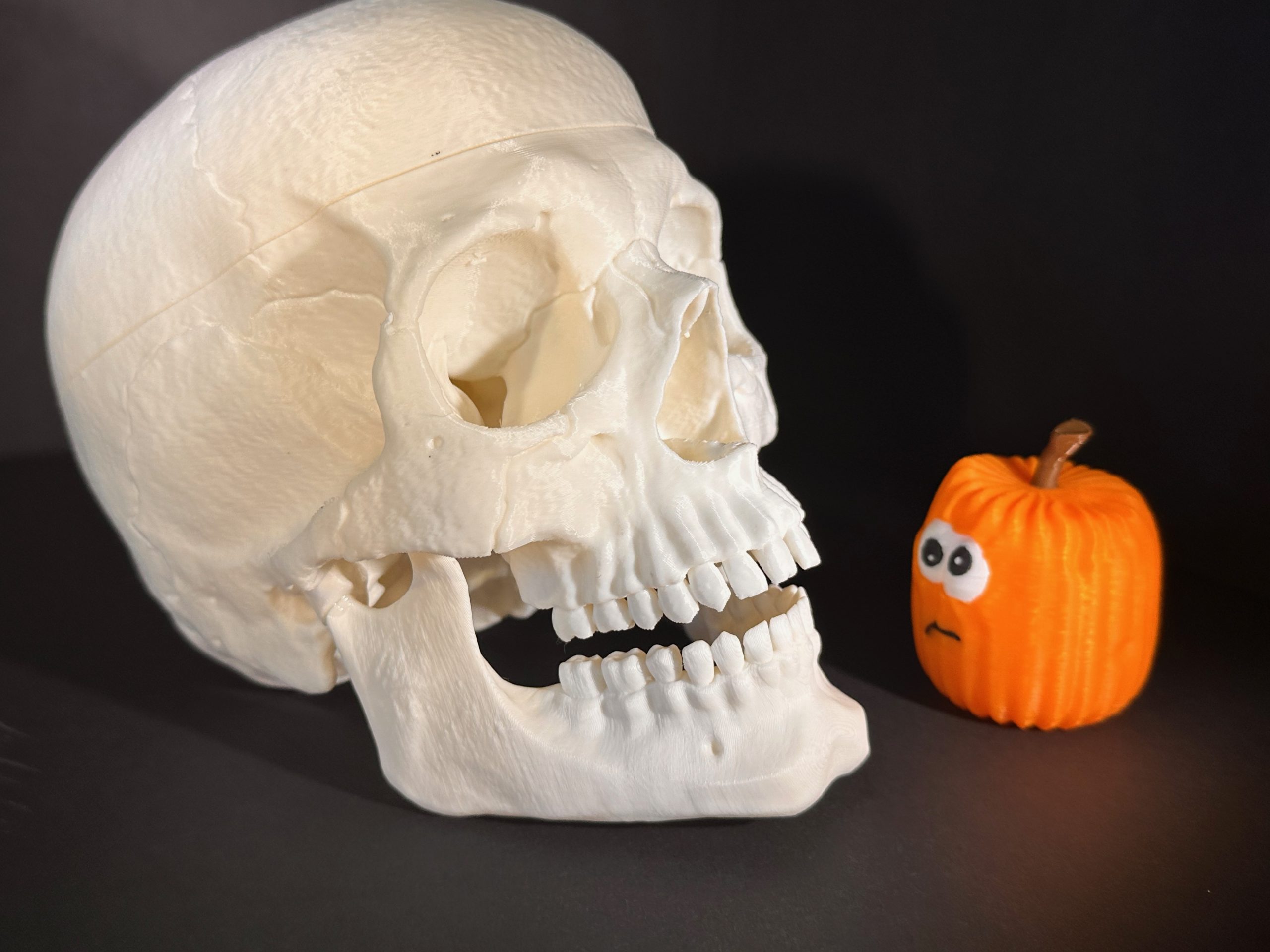 Skull