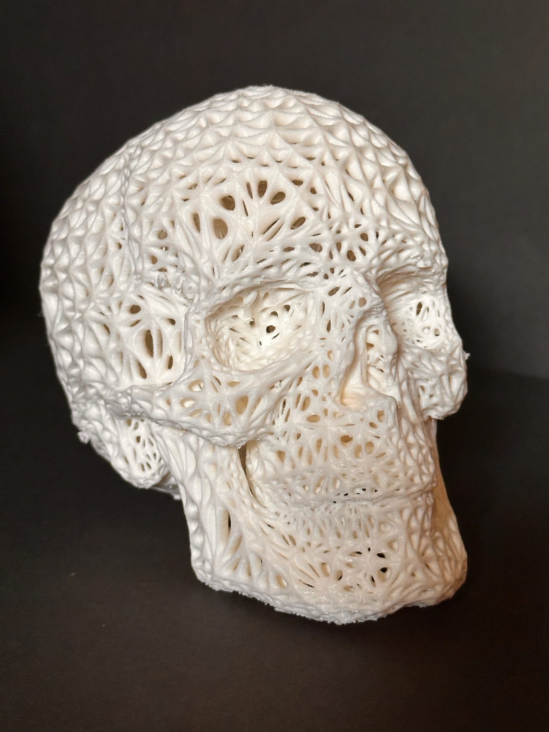 Skull - Web - White