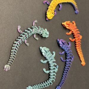 Dragons & Snakes